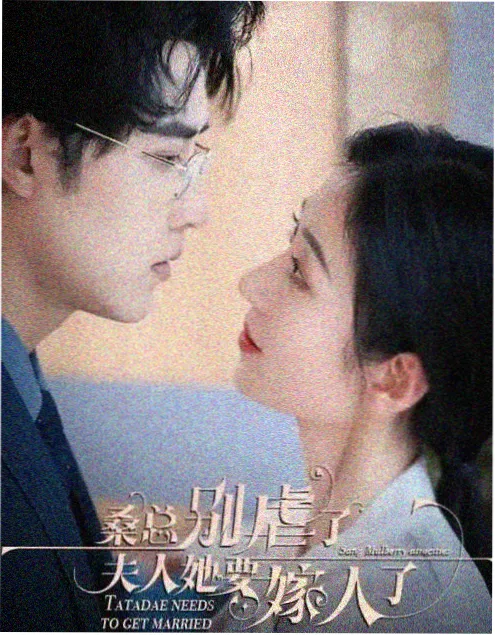 成年人视频 年代剧 长街灯火 剧集封面